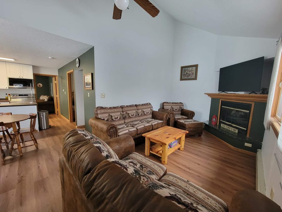 Living Room w/ sleeper sofa