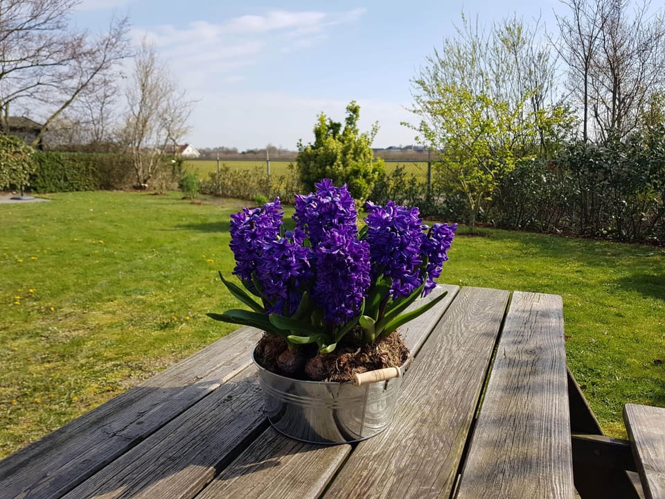 Tuin 3 J-dorp 2025