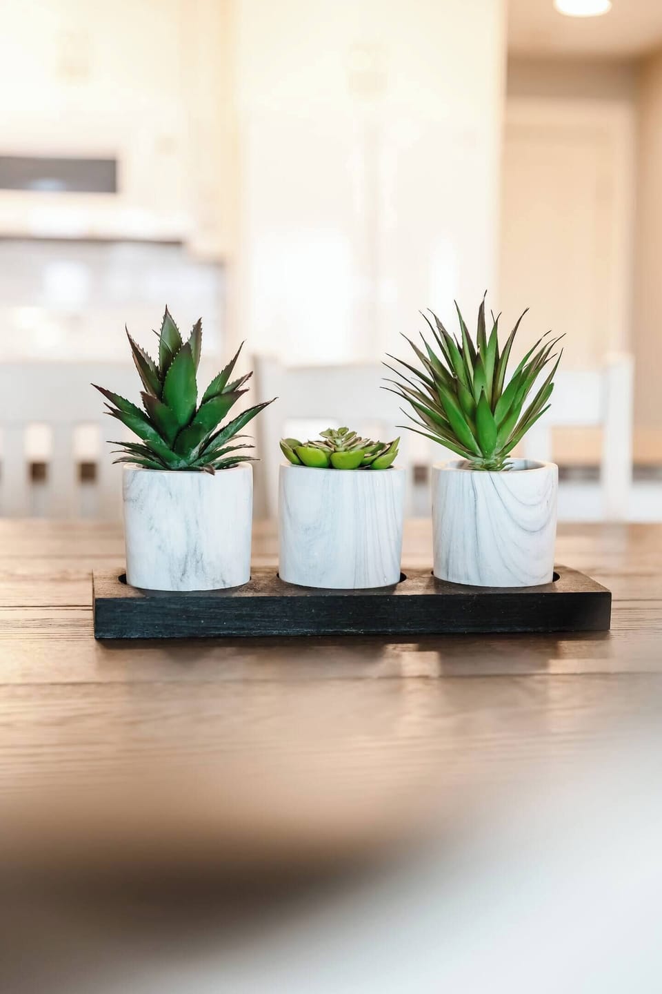 White vases of plants, adding a charming and vibrant touch.