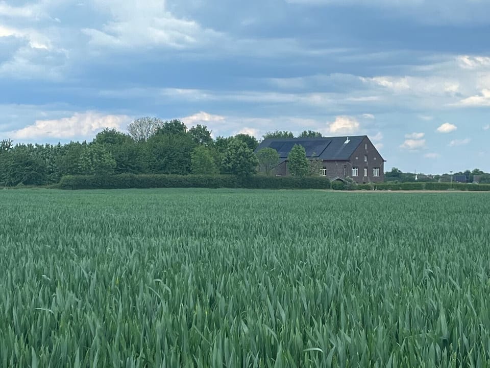 Natuur Vakantie Bonte Haan - Het Heerhuys - view