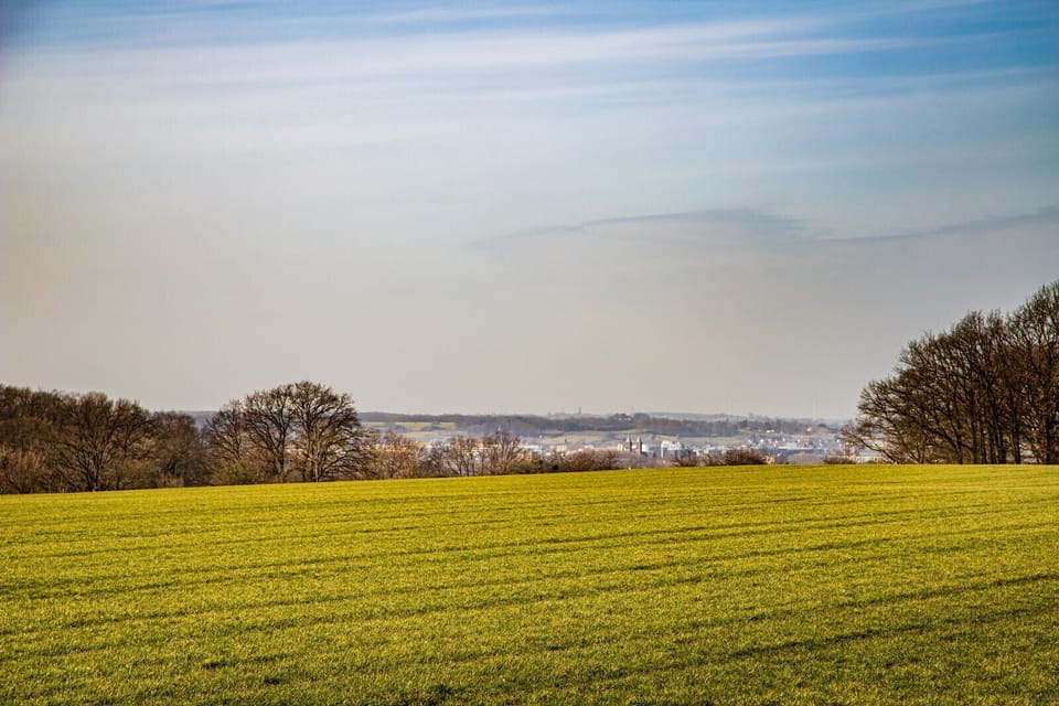 Natuur Vakantie Bonte Haan - Natuurhuisje De Stal - view