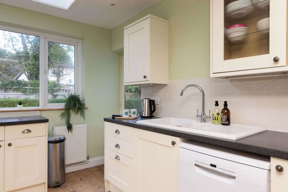 Dishwasher and double sink