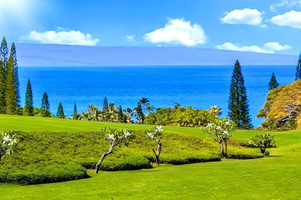 Paradise in every direction, lush greens, golden fairways, and the endless blue of the Pacific.