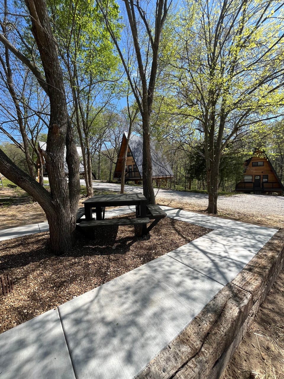 Shared Picnic Table
