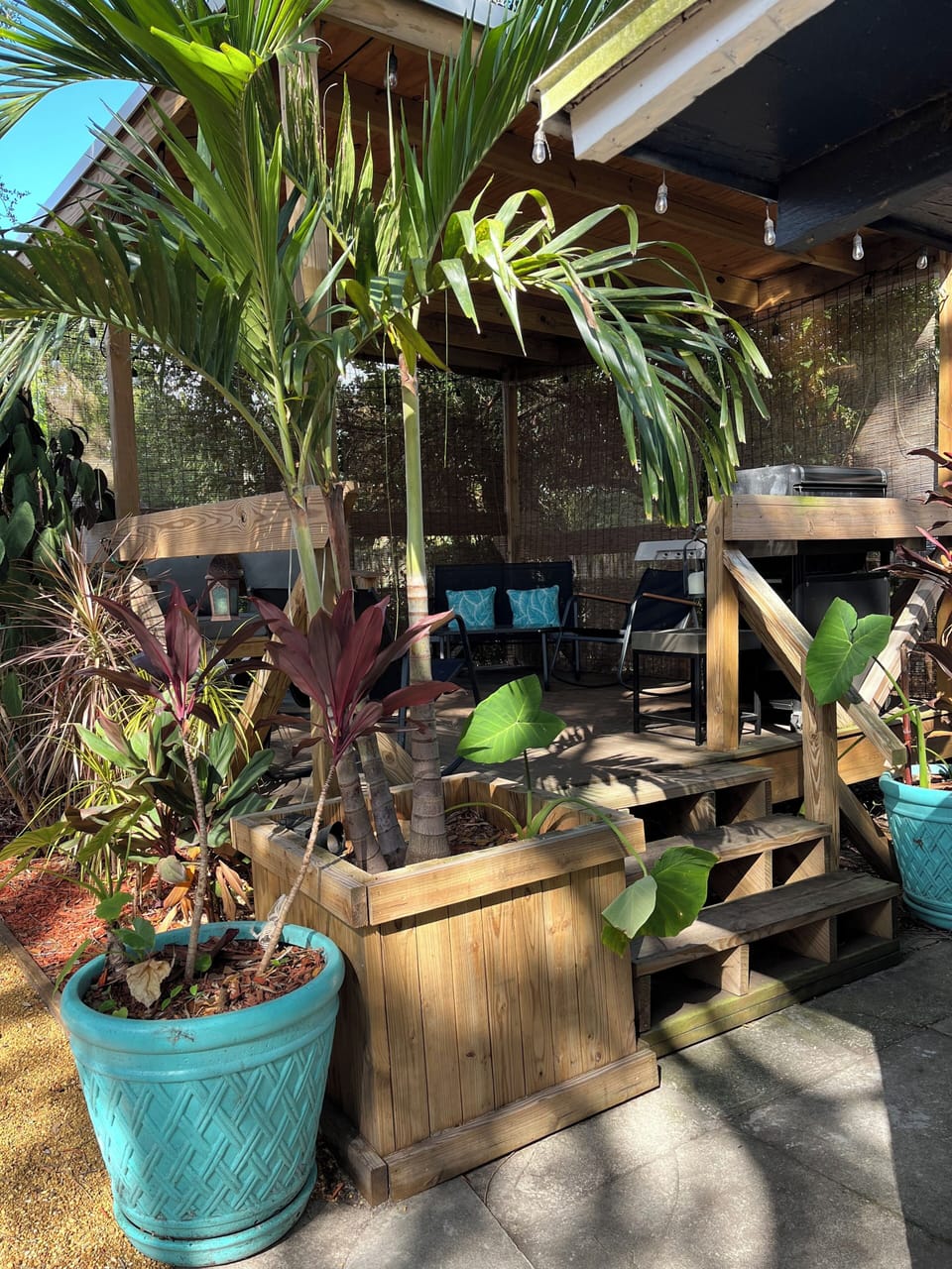 Tropical Backyard with Spa