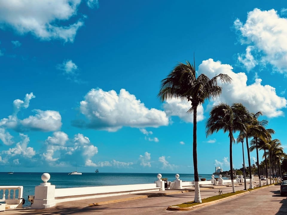 Scenic waterfront boardwalk with ocean views, located just 50 yards away.