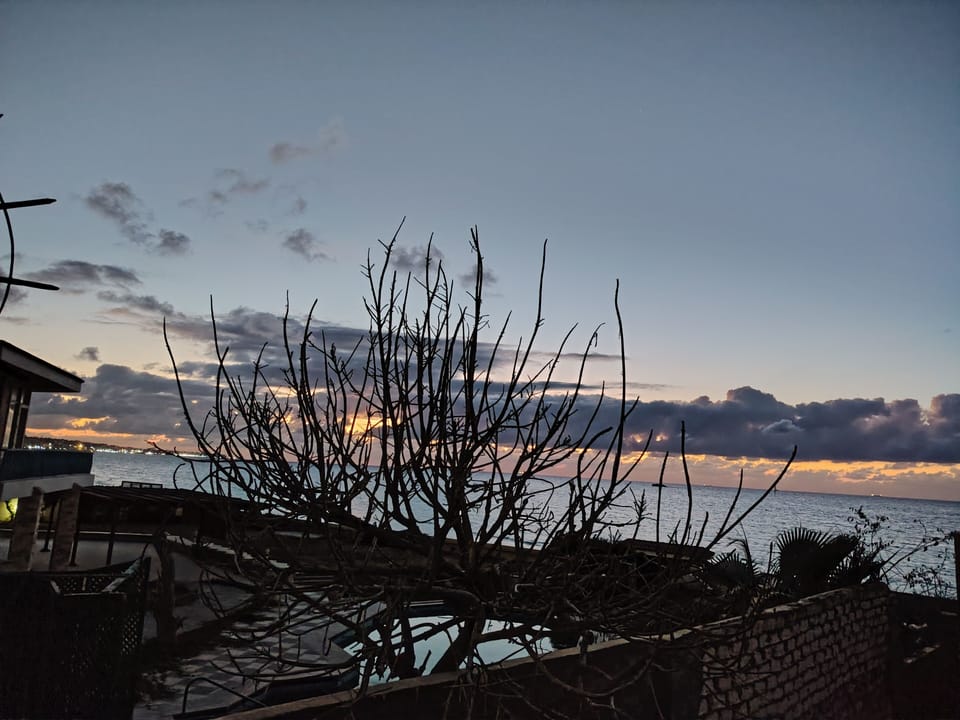 View from property