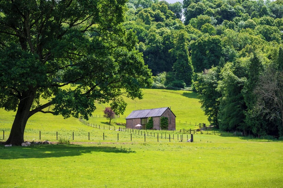 The Wye Valley Walk runs by the oak tree. 