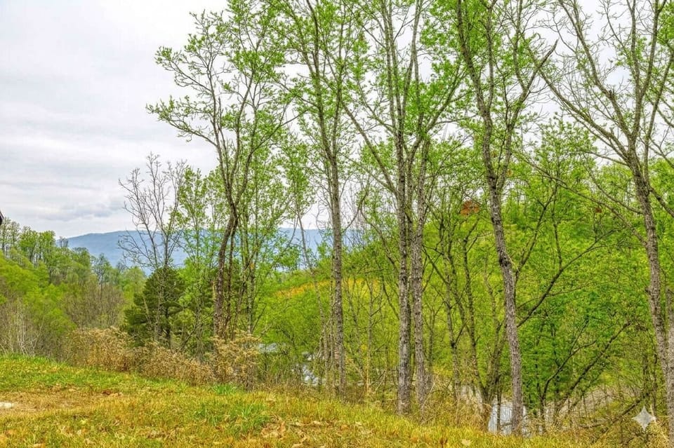Your mountain escape view - wrapped in warm wood and surrounded by nature
