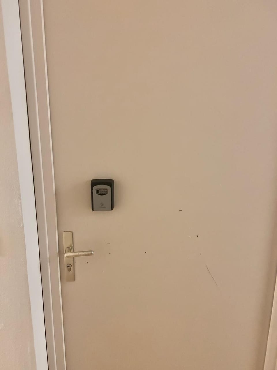 Miscellaneous