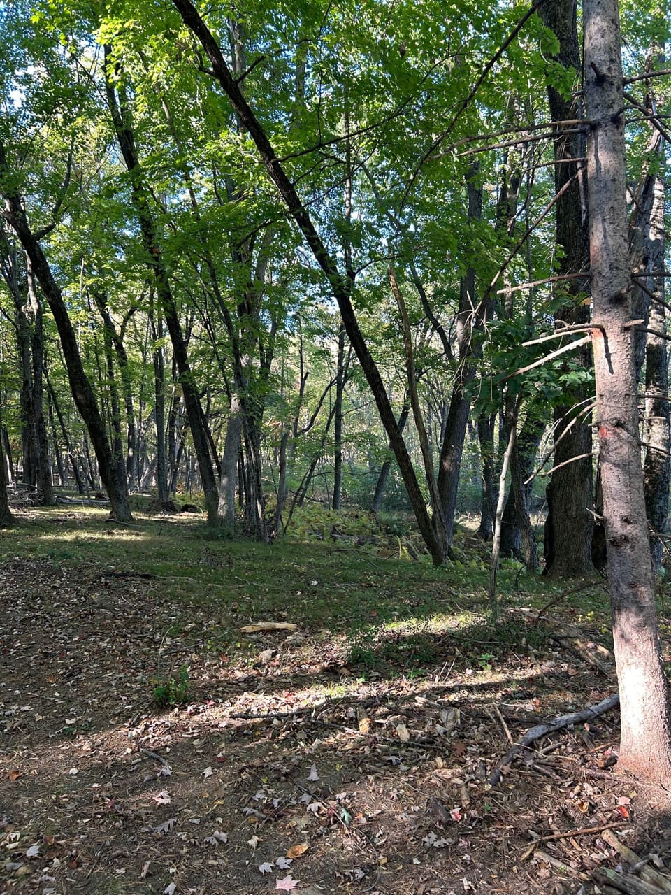 Image picker 52F7A3FB 9006 44BF 8088 338F1B43ECBB 39815 00000F263E1720A4