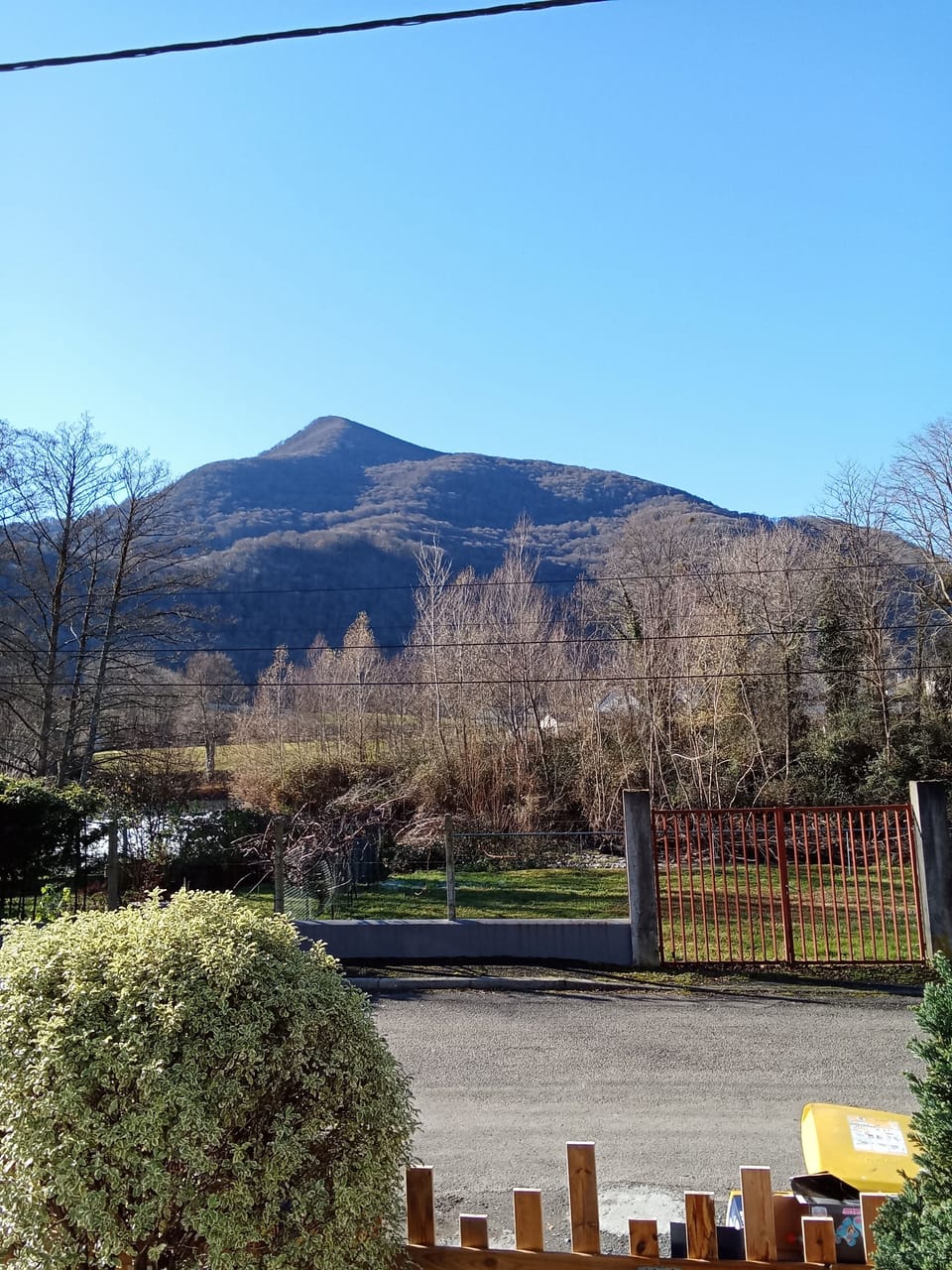 Miscellaneous