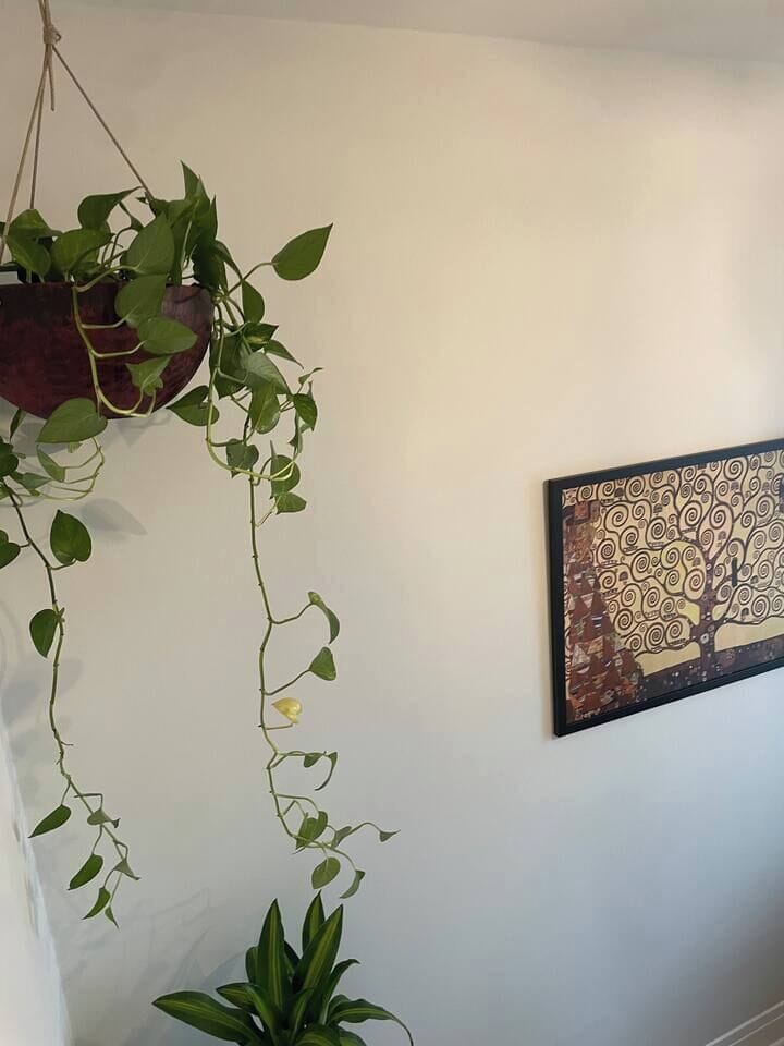 Decor detail bringing warmth and character to the home.