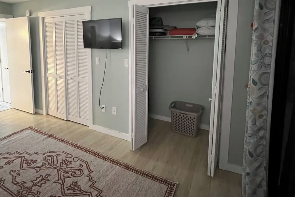 Guest Bedroom Closet with Extras