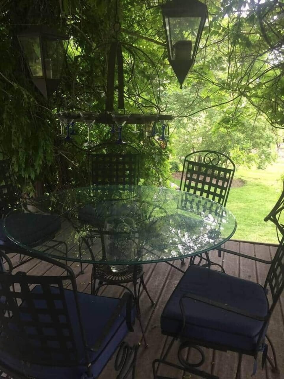 Under the Wisteria