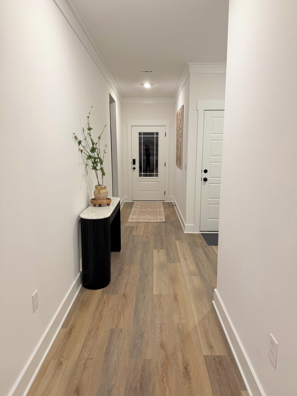 Front door and hallway