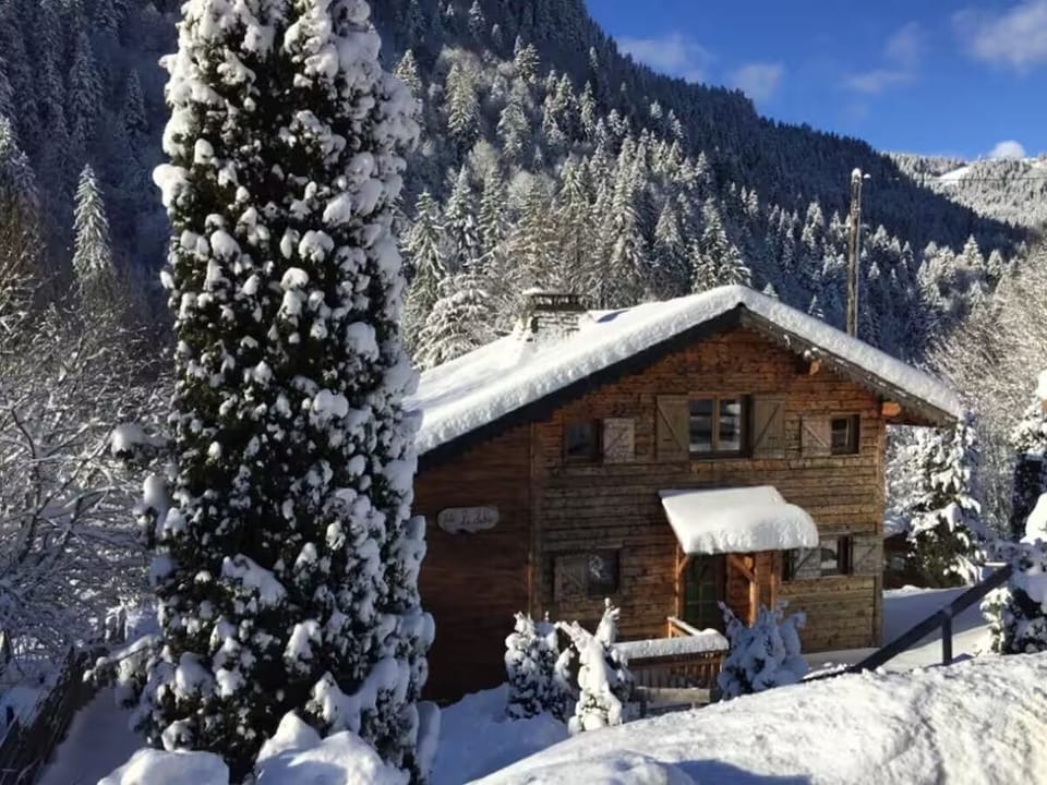 In a winter wonderland