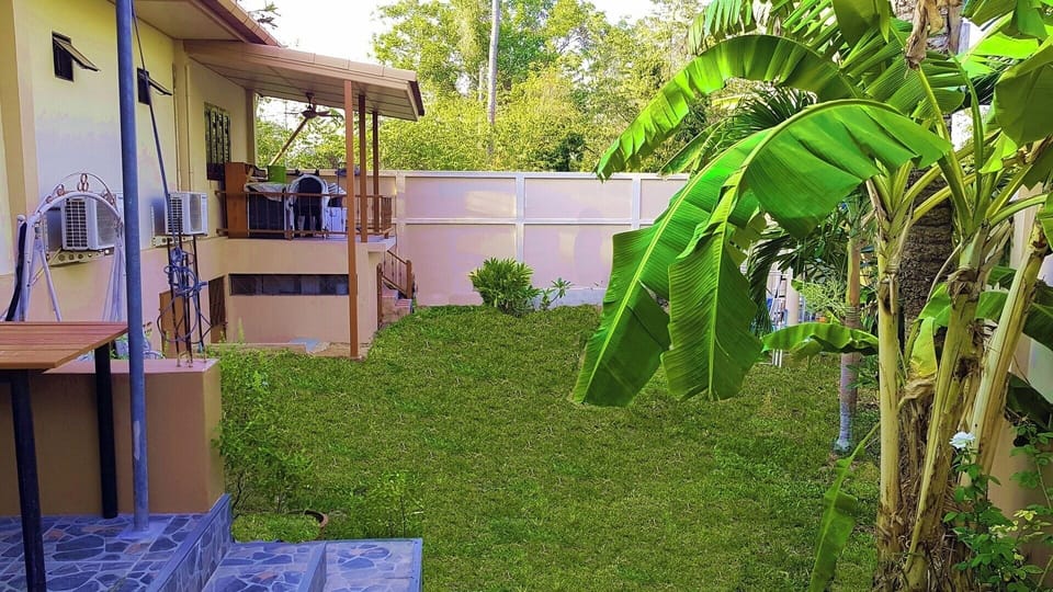 Back yard with lots of room for playing 
