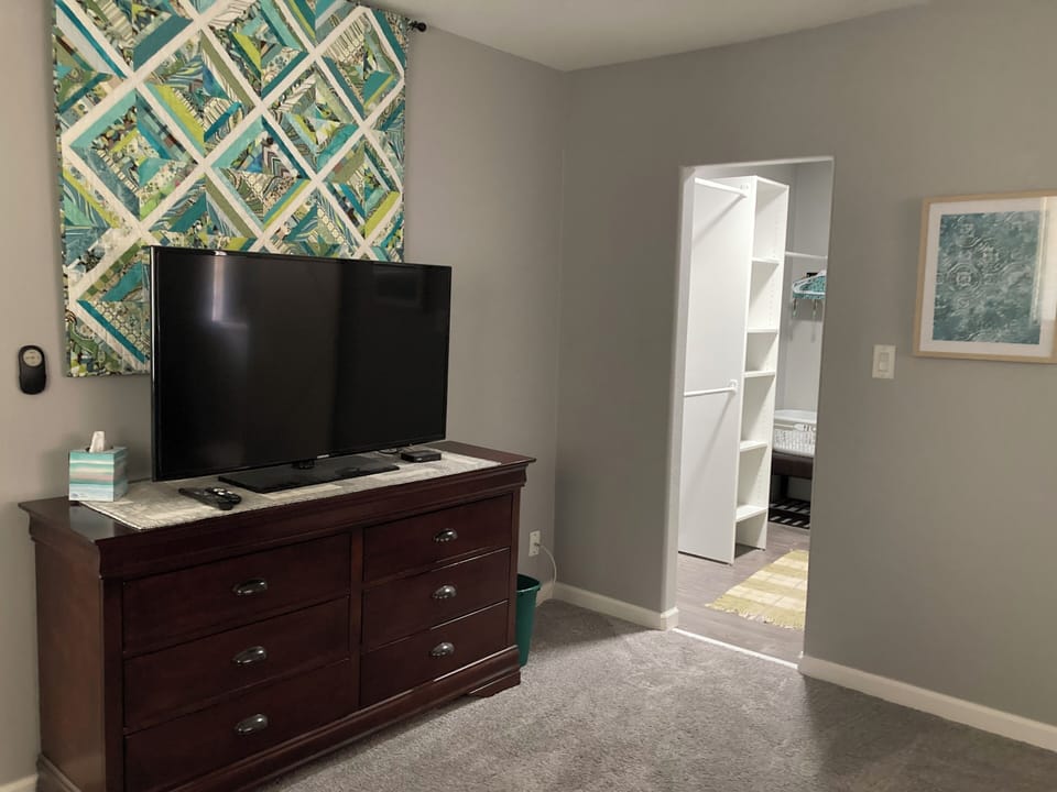 tv in primary