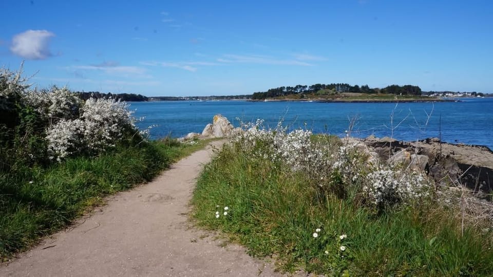 A peaceful coastal path bordered by wildflowers leads to the shimmering waters of the Gulf of Morbihan.