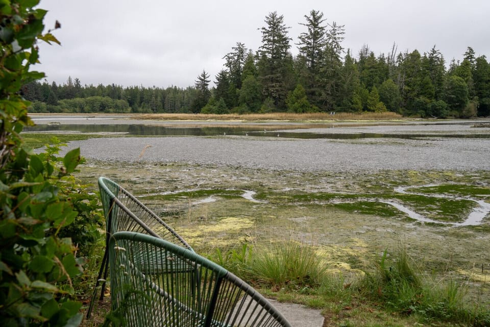 View of intertidal mudflats at low tide