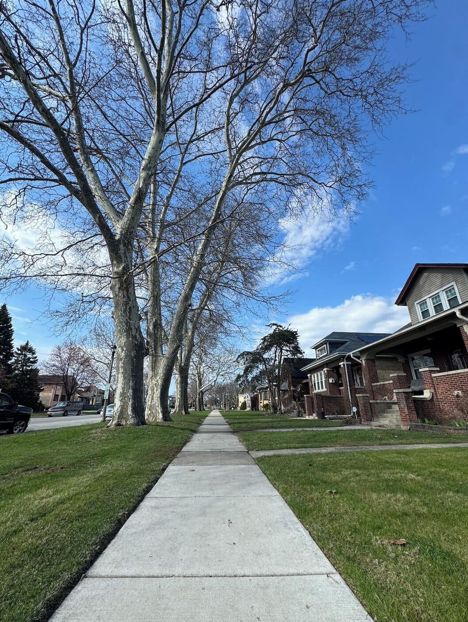 Street view