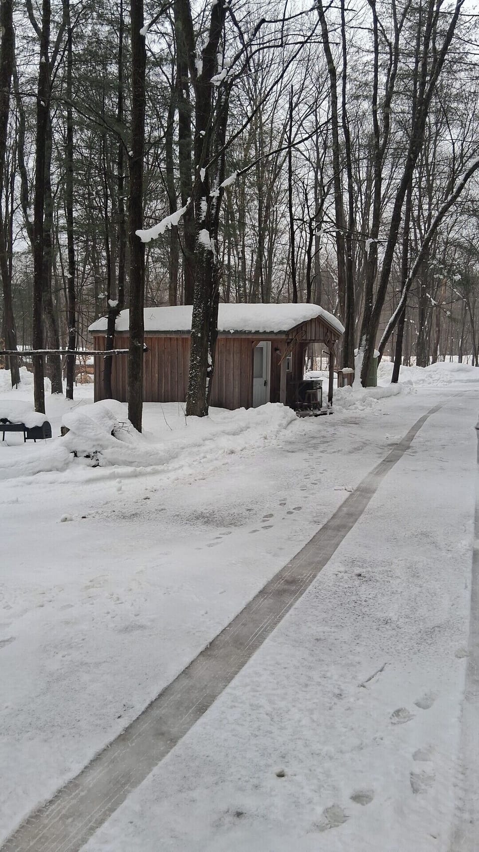 Spacious 4 person cabin with full amenities 