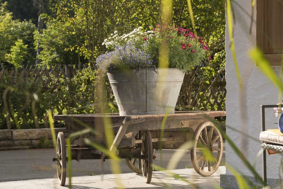 Garden [summer]