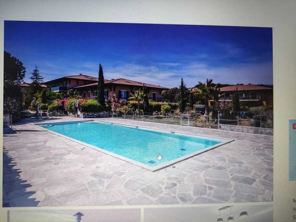 Swimming pool view