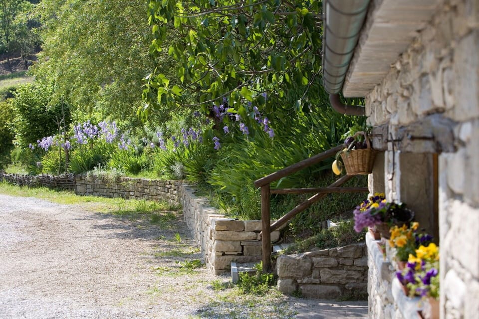 Flower, Shrub, Stone Wall, Garden, Spring, Cottage, Landscaping, Herbaceous Plant, Flagstone