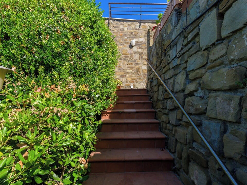 Shrub, Garden, Brick, Landscaping, Walkway, Flagstone, Hedge, Cobblestone