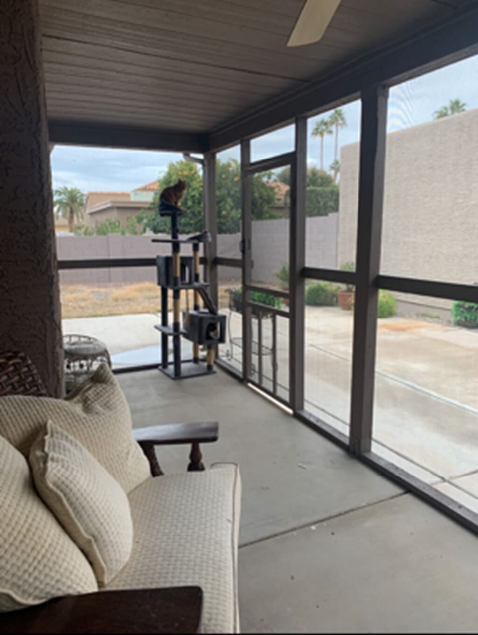Catio