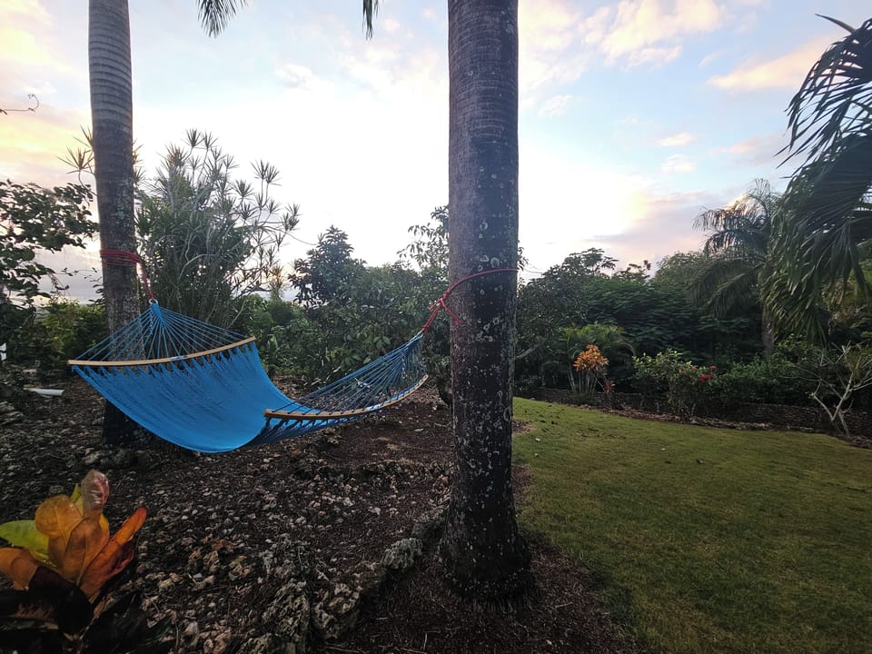 Relax in the hammock beneath fruit trees, where time slows naturally.