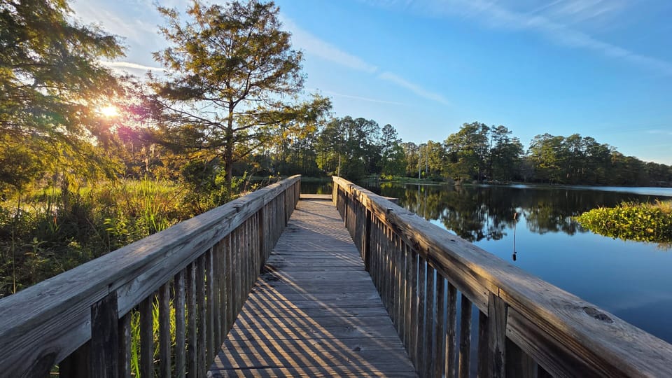 Exterior- dock in the backyard
