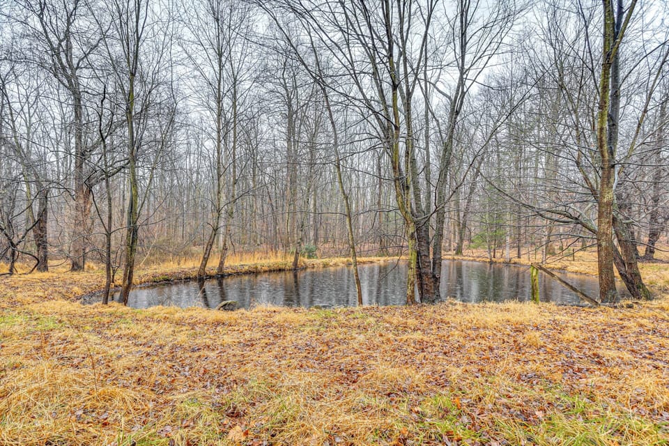 Pond