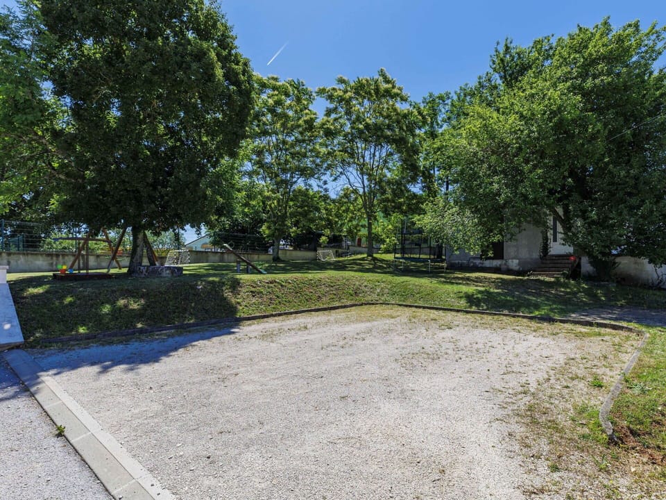 Tree, Grass, Branch, Public Space, Land Lot, Shade, Woody Plant, Soil, Lawn, Garden