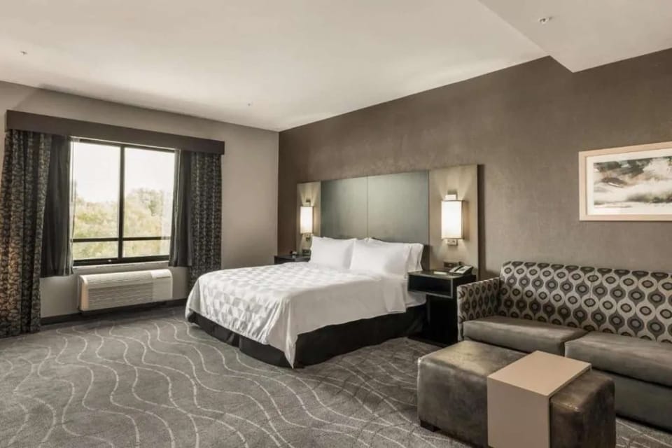 Bright room with king bed, lounge area, and large window view