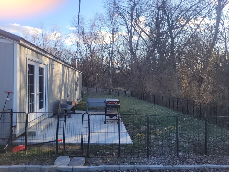 Fenced back yard