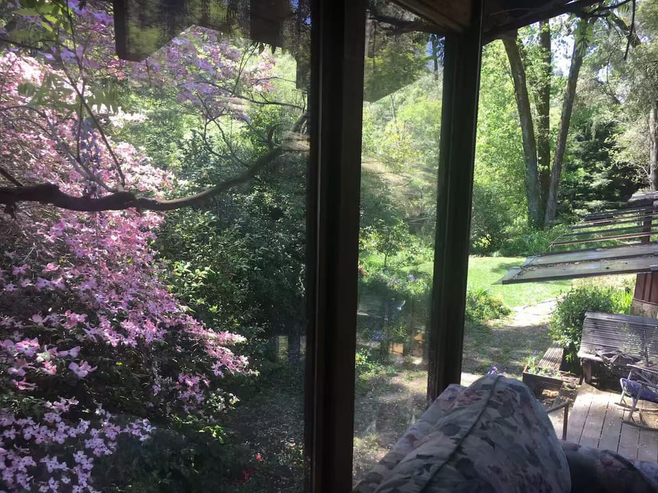 View out upstairs  windows