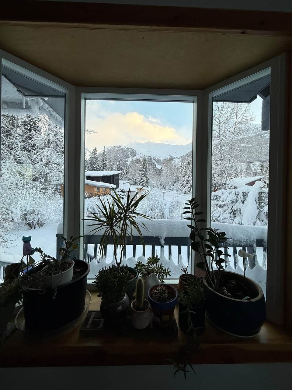 View from dining area