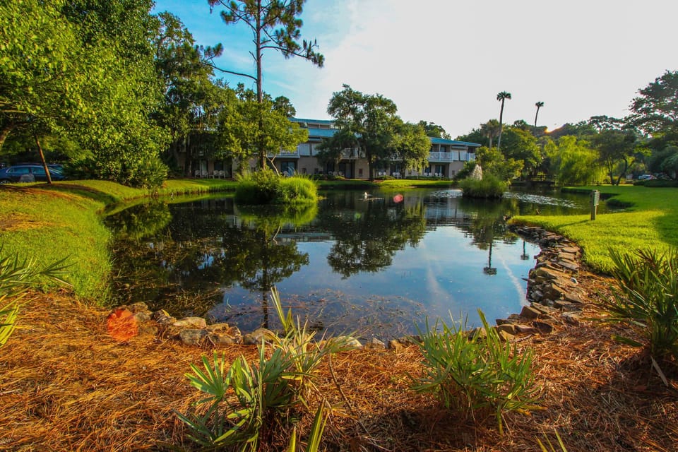 Unwind by the tranquil pond surrounded by lush island greenery.