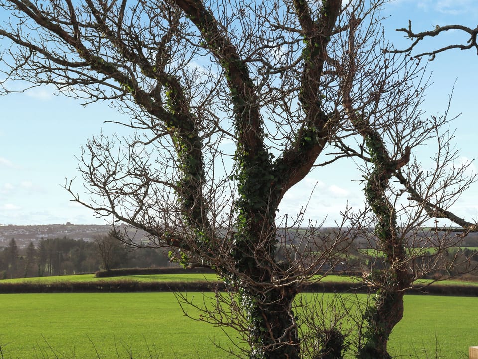 View | Kittiwake, Wisemans Bridge