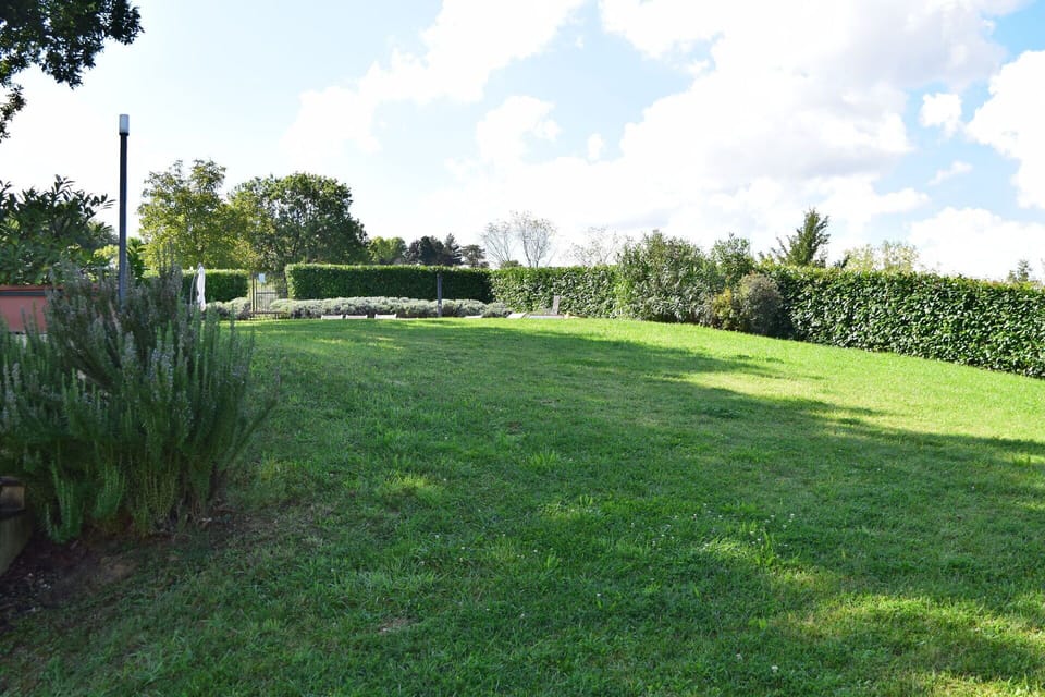 Autumn, Garden, Spring, Summer
