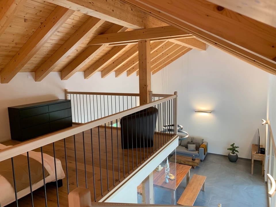PINE PINE - Gallery