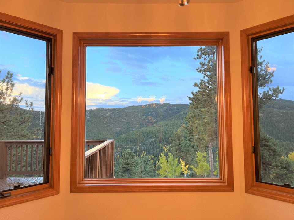 View out the kitchen windows