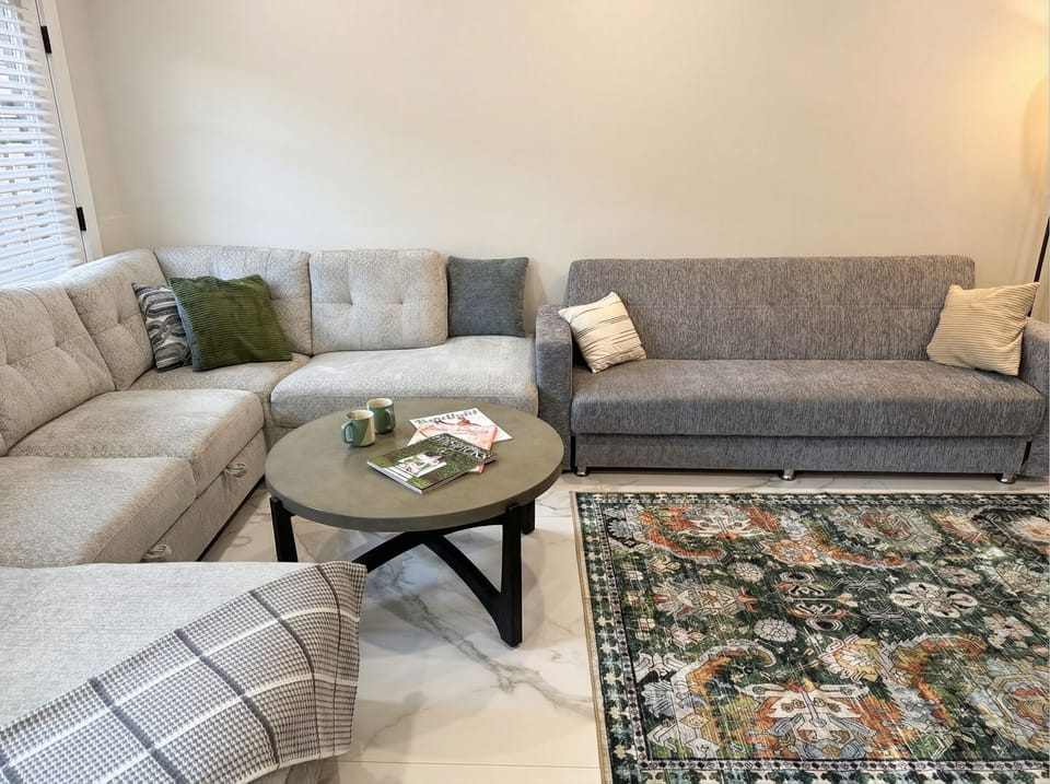 Couches, both convert into bed