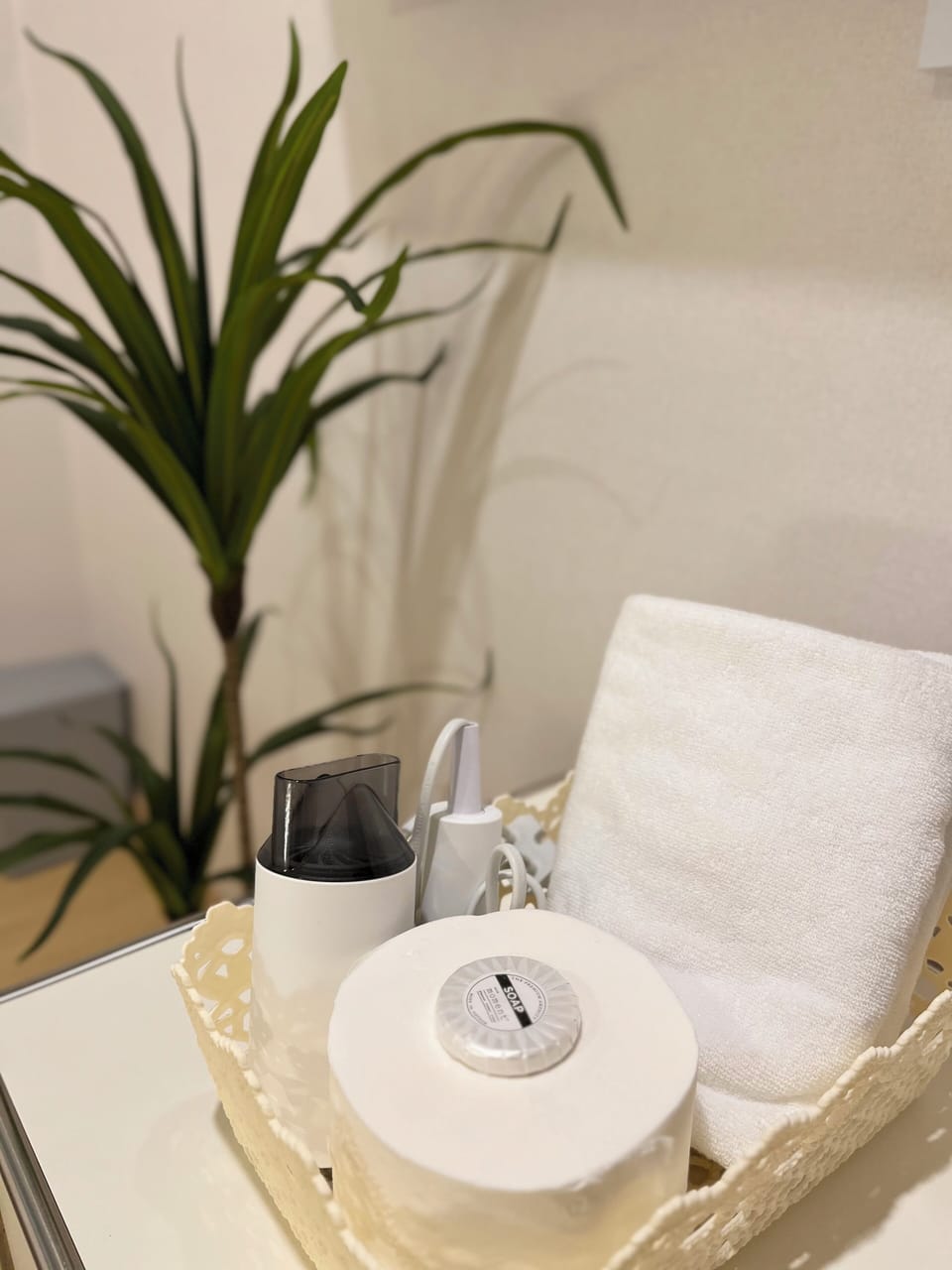 Bathroom amenities