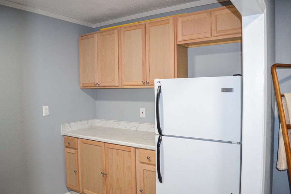 Garage Fridge