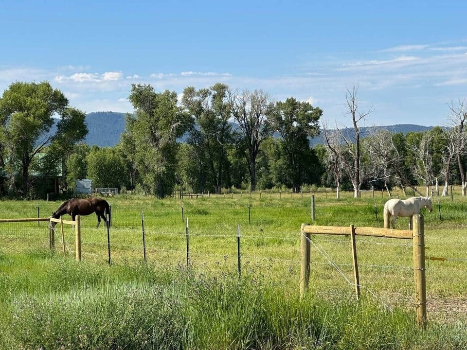 Beautiful views and horses graze seasonally nearby! 