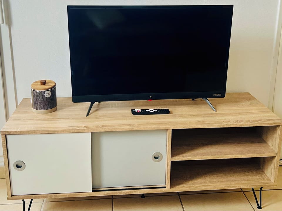 Television